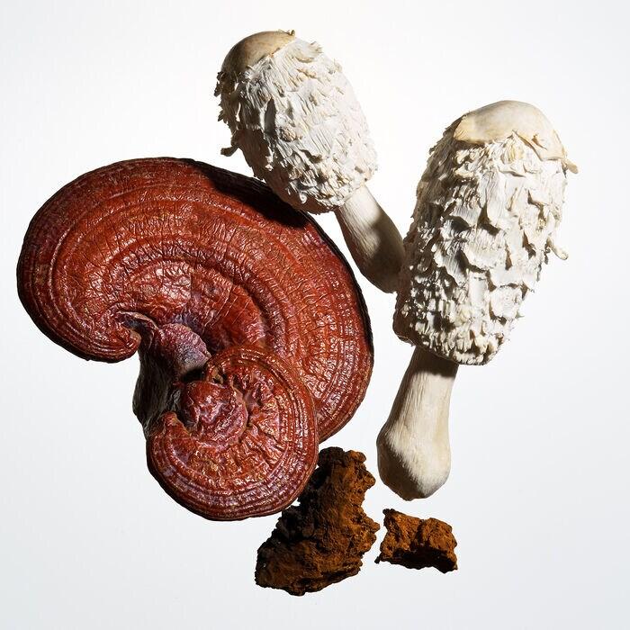 Origins Dr. Andrew Weil For Origins MegaMushroom Skin Relief - Agua Micelar