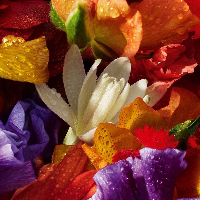 Guerlain Aqua Allegoria Florabloom - Eau De Parfum