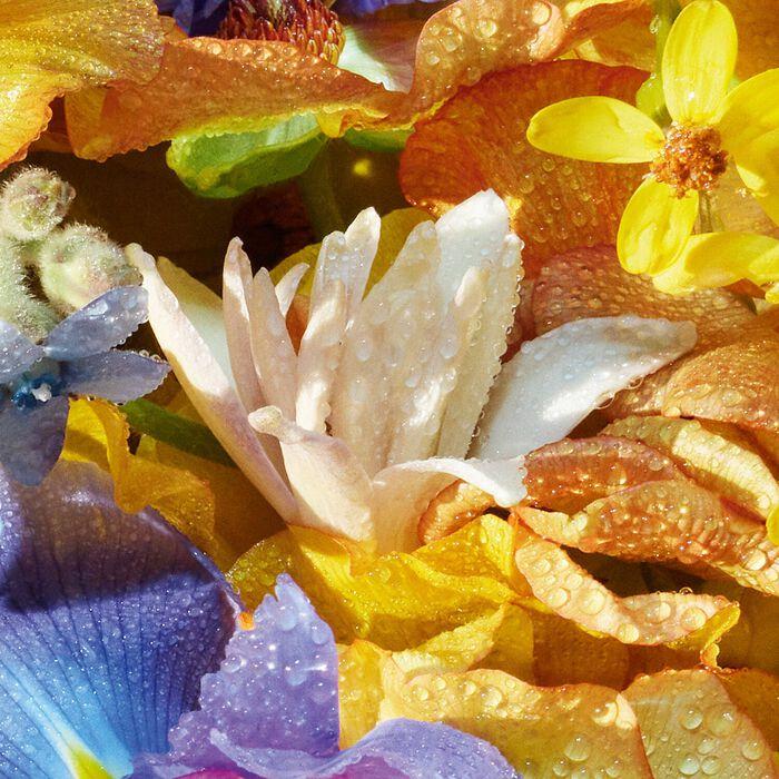 Guerlain Aqua Allegoria Florabloom - Eau De Toilette