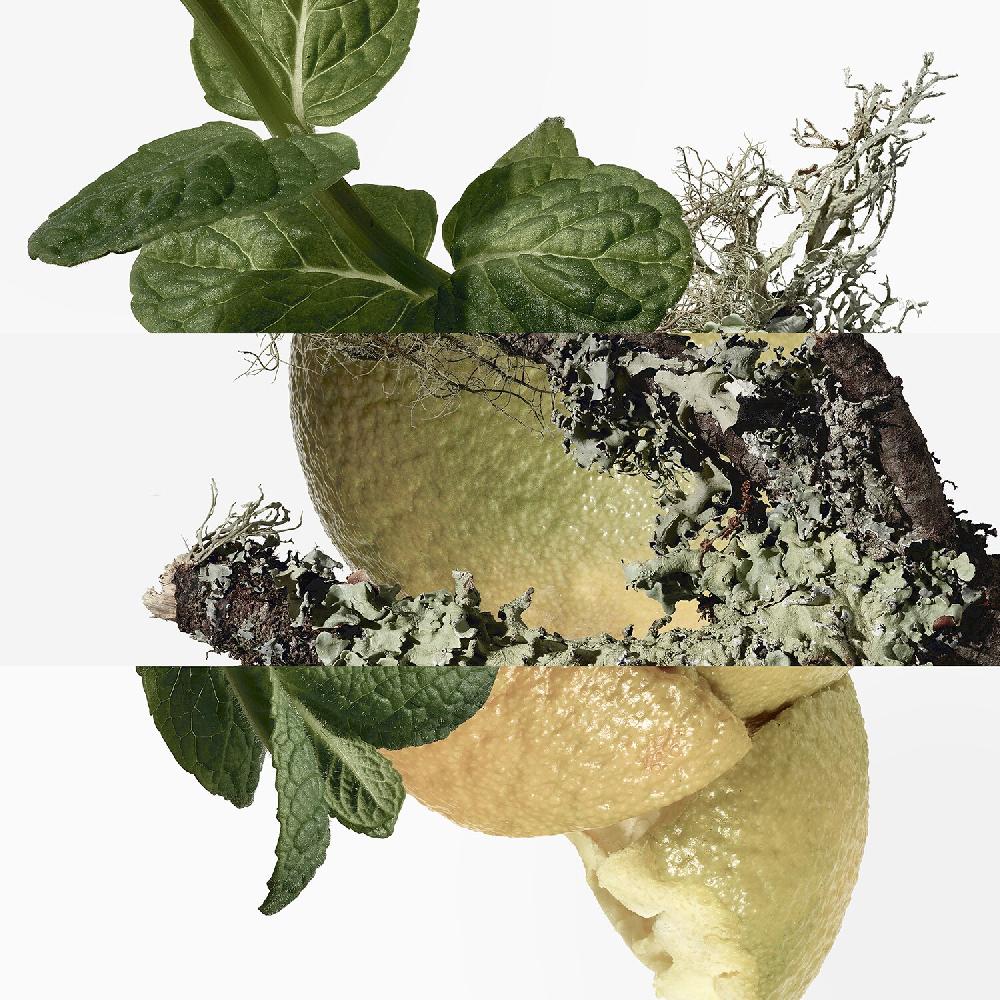 Hermès Eau D'orange Verte - Eau De Cologne