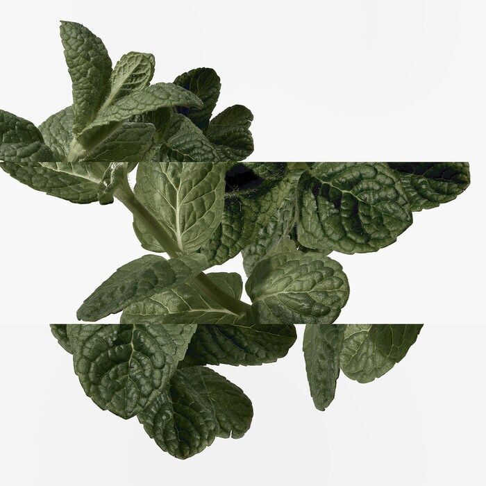 Hermès Eau D'orange Verte - Eau De Cologne