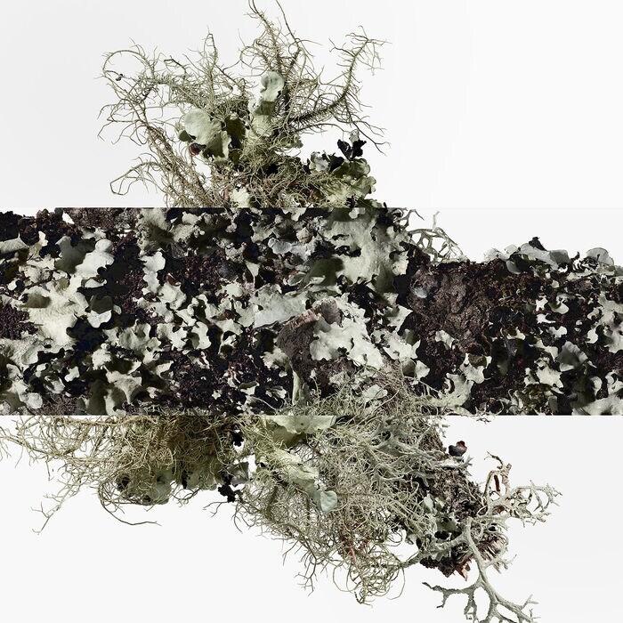 Hermès Eau D'orange Verte - Eau De Cologne