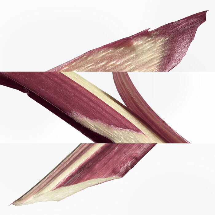 Hermès Eau De Rhubarbe écarlate - Eau De Cologne