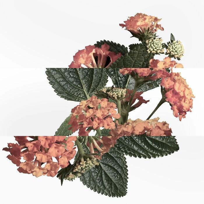 Hermès Eau De Rhubarbe écarlate - Eau De Cologne