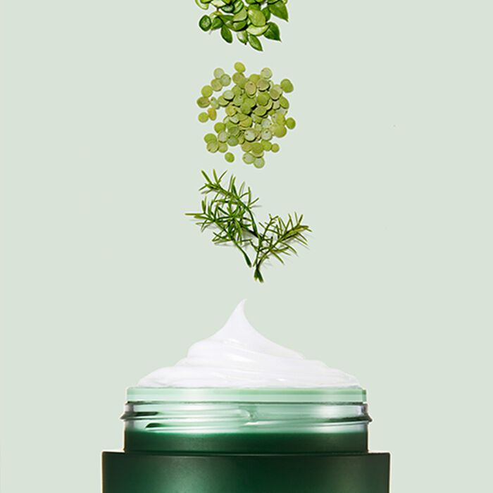 Laneige Máscara Para Dormir Cica