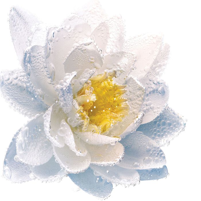 Dior Le Lait Démaquillant - Leche Micelar Desmaquillante