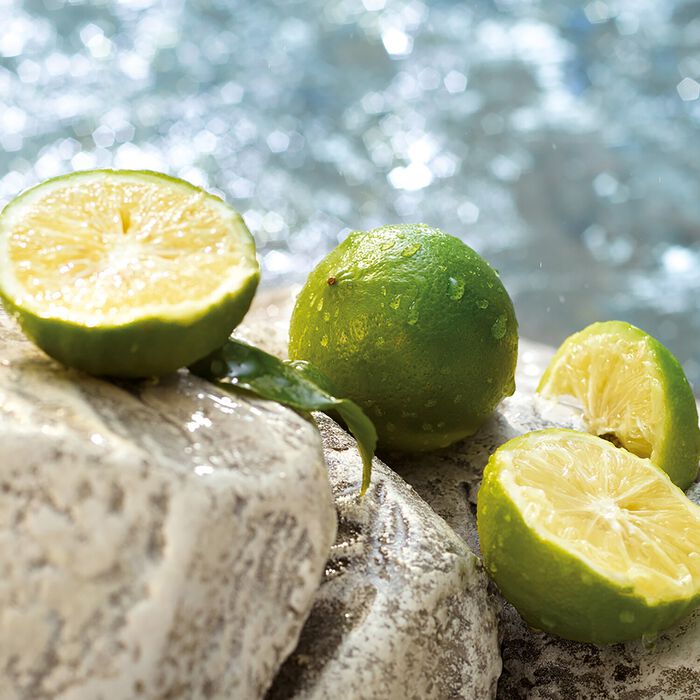 Dolce & Gabbana Light Blue Summer Vibes - Eau De Toilette