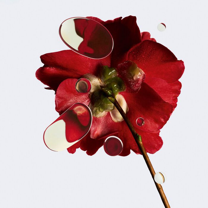 Chanel N°1 DE CHANEL Crema Revitalizante Para El Contorno De Los Ojos