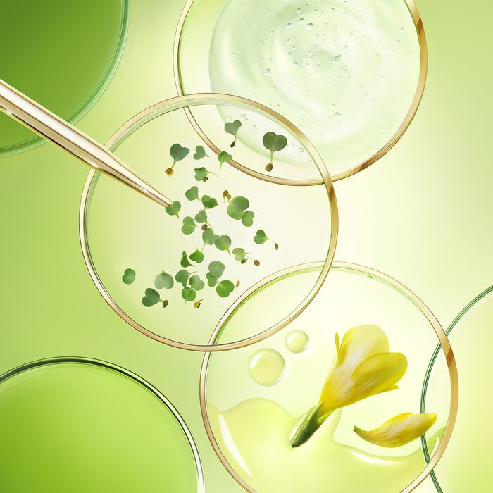 Nuxe Nuxuriance Ultra - El Tratamiento Excepcional Antiedad Global Día Y Noche