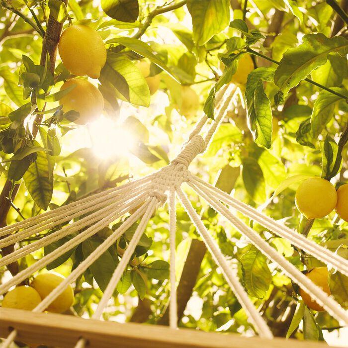 Maison Margiela Replica Under The Lemon Trees - Eau De Toilette