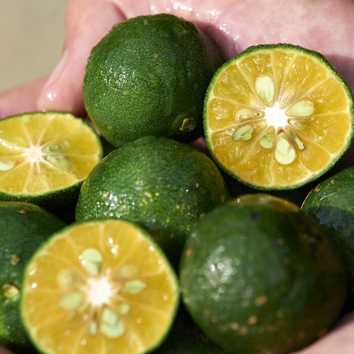 Shiseido Waso - Desmaquillante Y Limpiador Híbrido