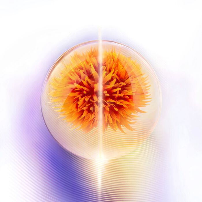 Shiseido Vital Perfection Uplifting And Firming Advanced Cream Enriched - Crema Antiedad