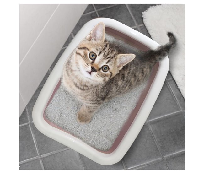 Conforama Acomoda Textil – Arenero Para Gatos 47x27x11 Cm Resistente Y Portátil Fácil Limpieza. Arenero De Plástico Con Bordes Elevados Antiderrames Bandeja De Arena Higiénica Para Mascotas. (Rosa)