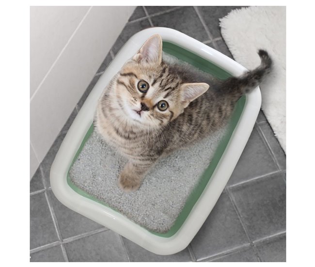 Conforama Acomoda Textil – Arenero Para Gatos 47x27x11 Cm Resistente Y Portátil Fácil Limpieza. Arenero De Plástico Con Bordes Elevados Antiderrames Bandeja De Arena Higiénica Para Mascotas. (Verde)