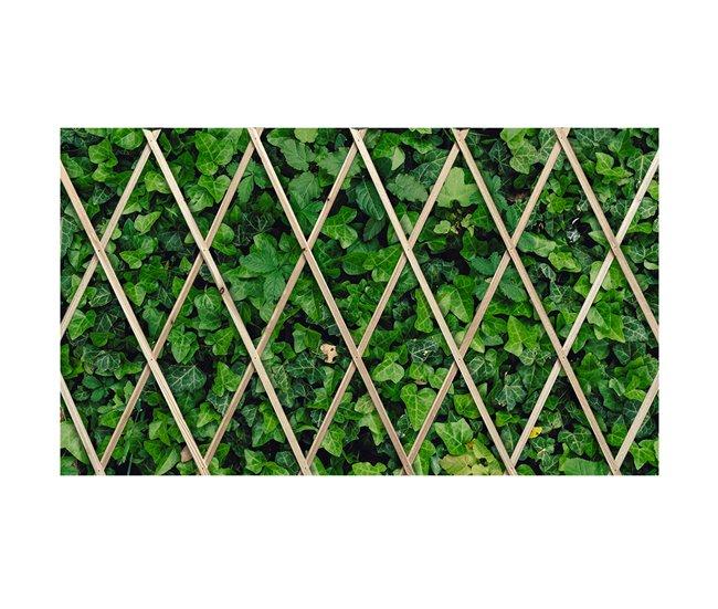 Conforama Acomoda Textil – Celosía Extensible De Madera Natural Elegante Resistente Y Versátil Para Plantas Trepadoras. Valla Decorativa De Ocultación Para Balcón Patio Y Jardín. (180X30 Cm)