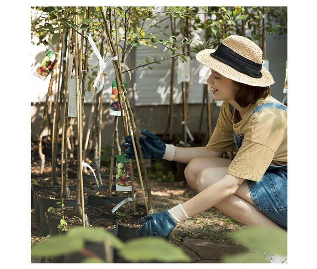 Conforama Acomoda Textil - Tutores De Bambú Para Agricultura Y Jardinería Resistentes. Pack 30 Varillas De Bambú Estables Y Robustas. Caña De Bambú Para Plantas Árboles Y Hortalizas. (90 Cm Diámetro 6/9 Mm)