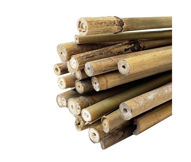 Conforama Acomoda Textil - Tutores De Bambú Para Agricultura Y Jardinería Resistentes. Pack 30 Varillas De Bambú Estables Y Robustas. Caña De Bambú Para Plantas Árboles Y Hortalizas. (90 Cm Diámetro 6/9 Mm)