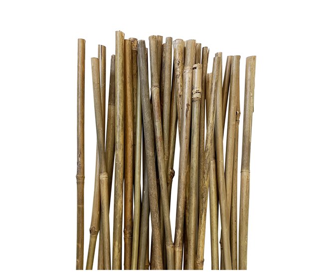 Conforama Acomoda Textil - Tutores de Bambú para Agricultura y Jardinería Resistentes. Pack 30 Varillas de Bambú Estables y Robustas. Caña de Bambú para Plantas Árboles y Hortalizas. (90 cm Diámetro 6/9 mm)