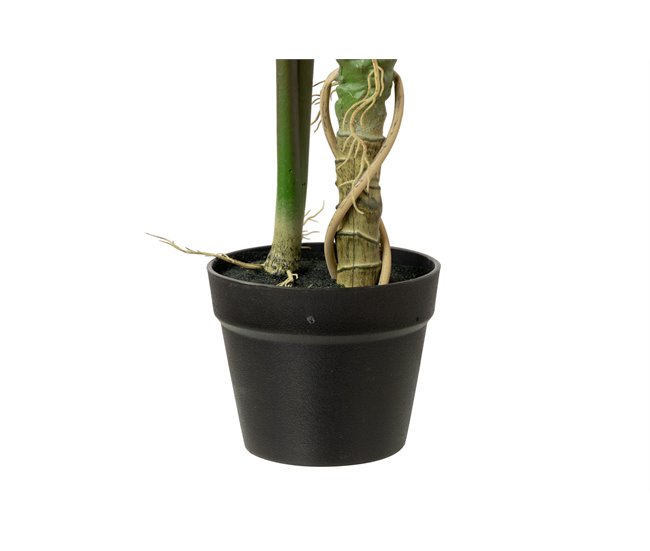 Conforama Arbol Alocasia Sarian Con Maceta 80x80x95 Cm
