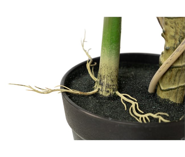 Conforama Arbol Alocasia Sarian Con Maceta 80x80x95 Cm