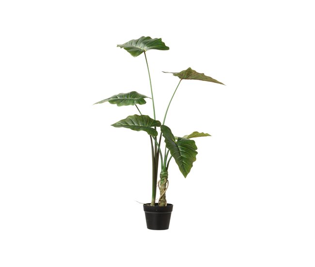 Conforama Arbol Alocasia Sarian Con Maceta 80x80x95 Cm