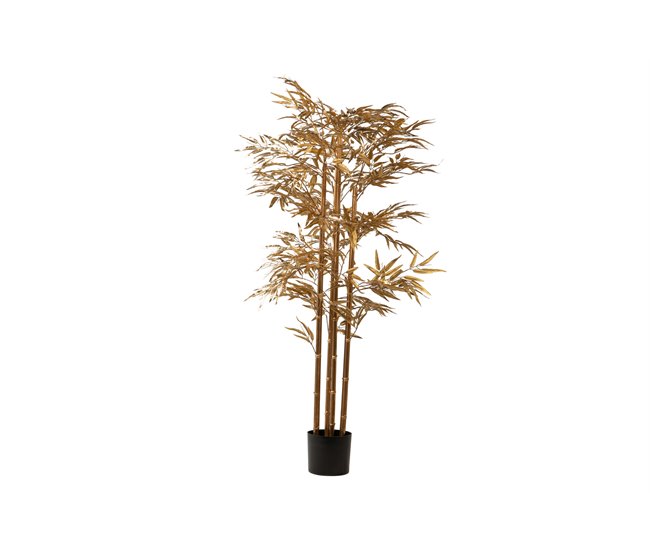 Conforama Arbol Bambu Dorado Con Maceta 78x51x167 Cm