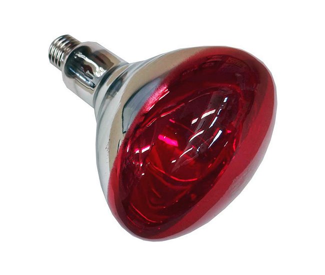 Conforama Bombilla de luz Infrarroja Philips R125 250 W E27