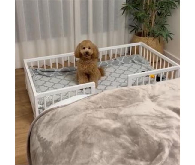 Conforama Cama Sofá Para Mascotas Grandes WonderWoof Elevada Hecha De Madera De Haya - Blanco