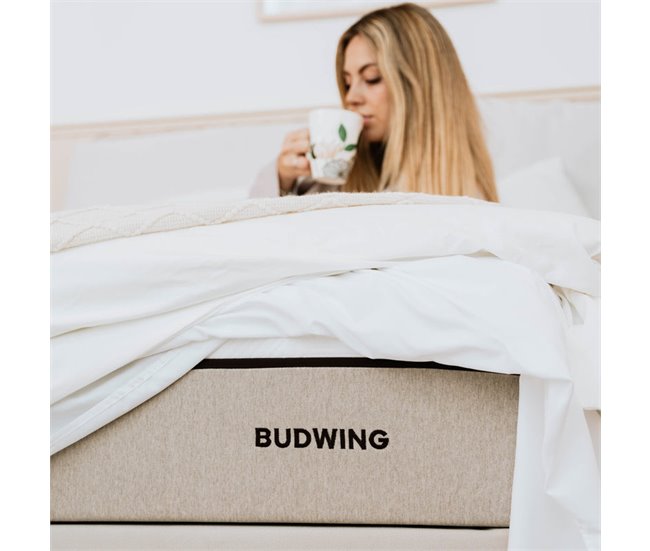Conforama Colchón BUDWING BioHybrid (90x190 Cm - Espuma Viscoelástica Látex Y Muelles Ensacados)
