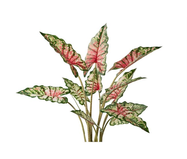 Conforama Arbol Taro Tabby Con Maceta 80x70x100 Cm