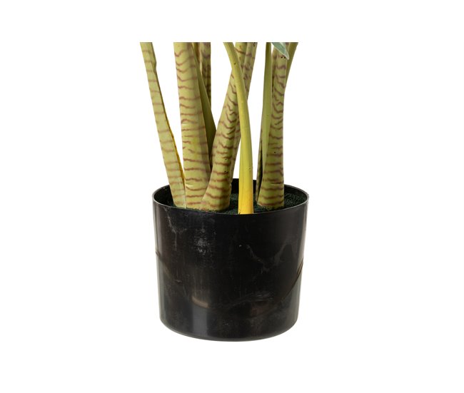 Conforama Arbol Taro Tabby Con Maceta 80x70x100 Cm