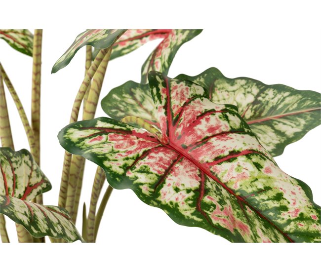 Conforama Arbol Taro Tabby Con Maceta 80x70x100 Cm