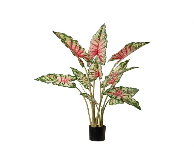 Conforama Arbol Taro Tabby Con Maceta 80x70x100 Cm