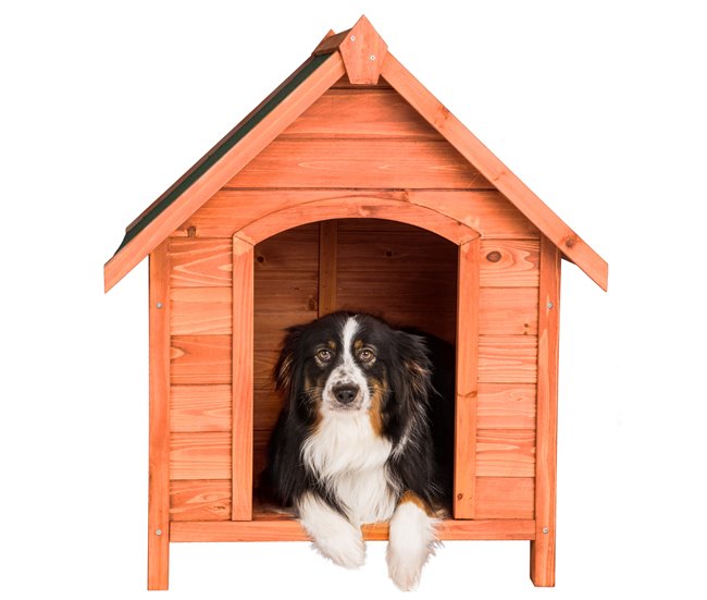 Conforama Caseta Para Perros Bailey Marrón