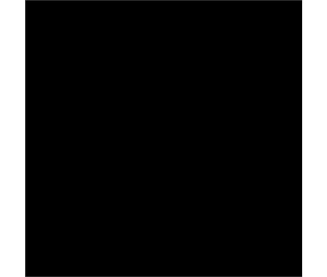 Conforama Espejo Lolle Negro 80 X 180 X 3 5 Cm