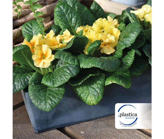 Conforama Jardinera 30 Cm