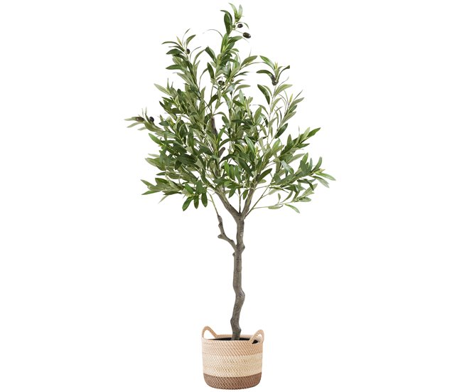 Conforama Olivo Artificial