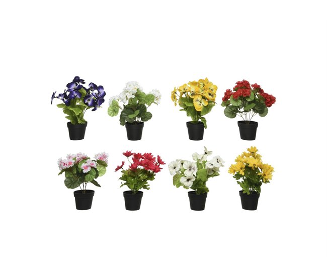 Conforama Planta ALLEGRA 20cm Colores Surtidos