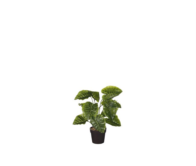 Conforama Planta Artificial ALOCASIA Marca MYCA