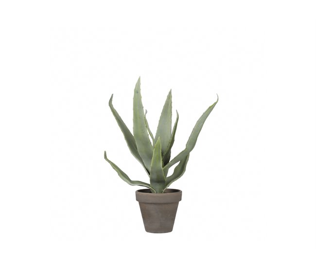 Conforama Planta artificial ALOEVERA marca MYCA