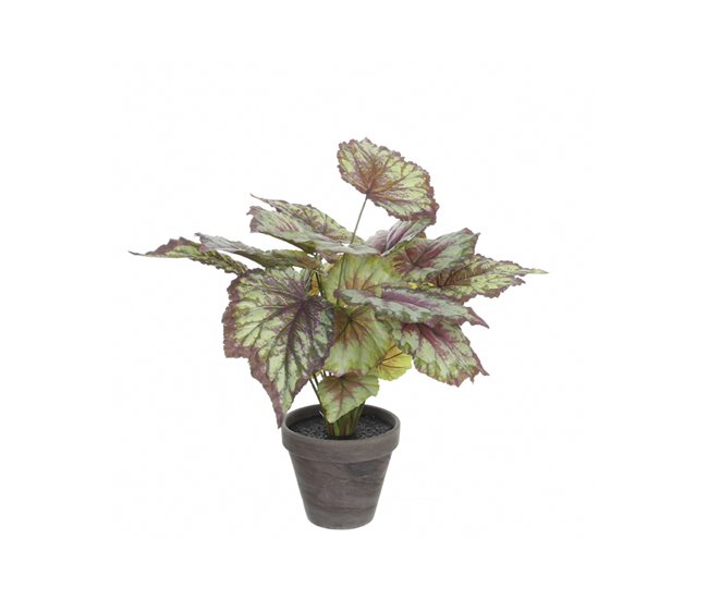 Conforama Planta artificial BEGONIA marca MYCA