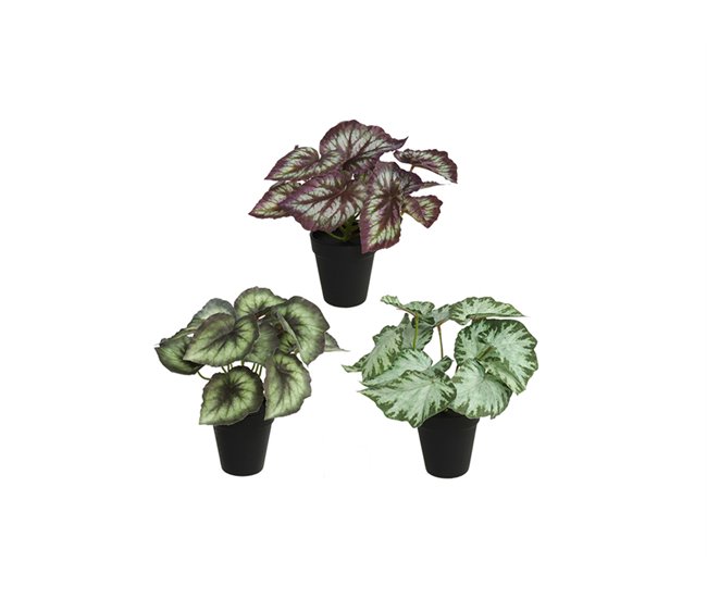Conforama Planta artificial BEGONIA surtido