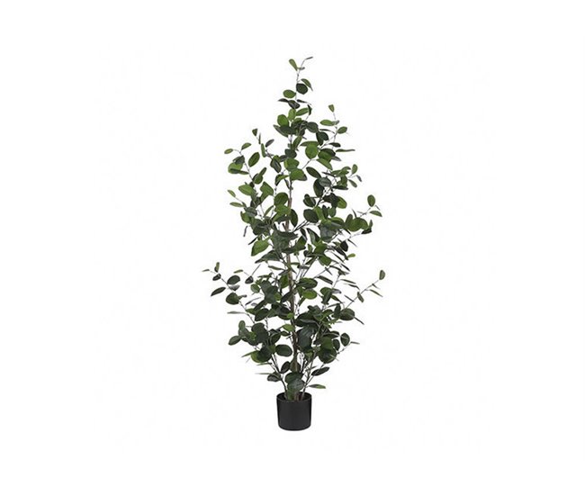 Conforama Planta Artificial FICUS Marca MYCA