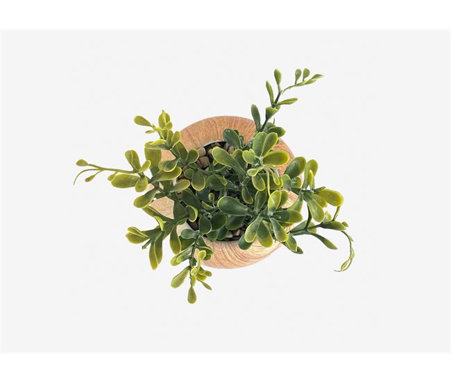 Conforama Planta Artificial OLGA Marca ECOANYA