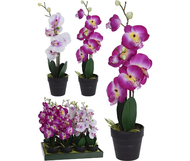 Conforama Planta Artificial ORQUIDEA Surtido