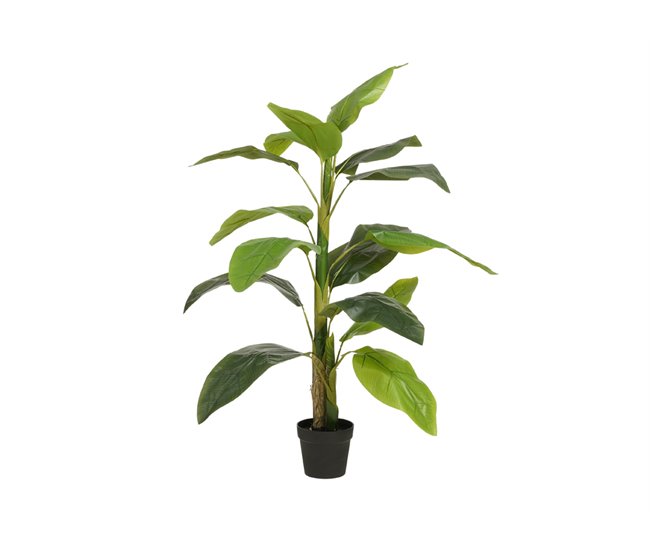 Conforama Planta artificial STRELITZIA marca MYCA