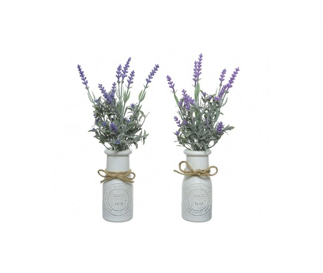 Conforama Planta LAVANDA 32cm Colores Surtidos