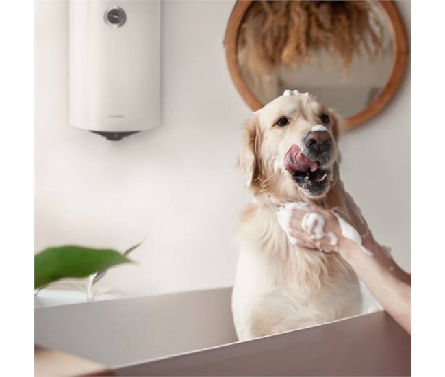 Conforama Termo Eléctrico 30L | UNIVERSALBLUE