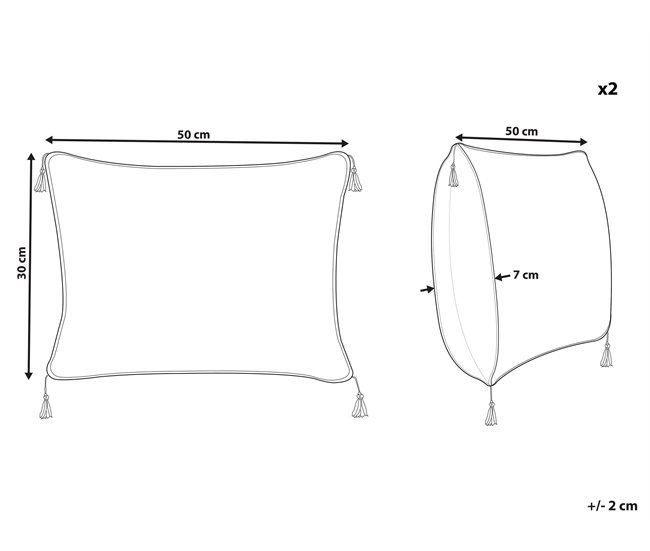 Conforama Conjunto De 2 Cojines De Terciopelo Blanco/negro 30 X 50 Cm SCHEFFLERA