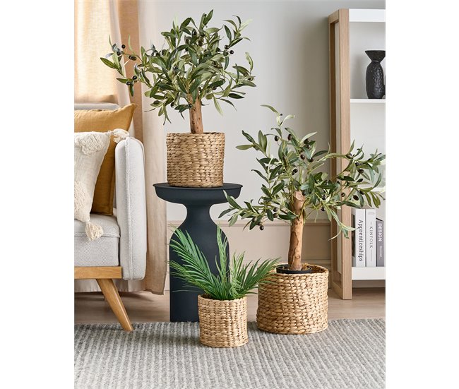Conforama Conjunto De 3 Cestas Para Plantas De Jacinto De Agua Claro RONQUIL